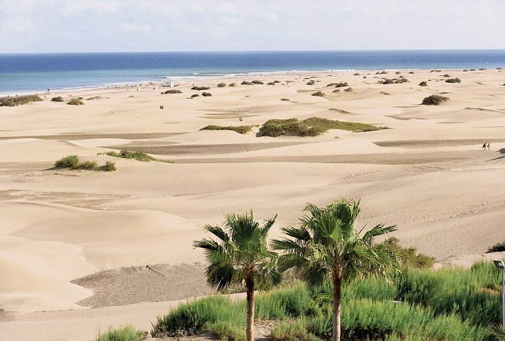 Sahara Playa