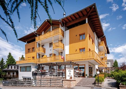 Alpine Mugon Monte Bondone