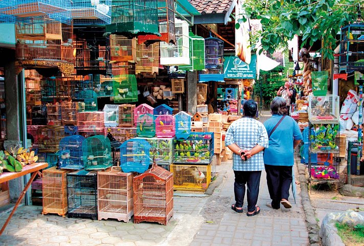 Java und Bali Rundreise & Baden - Vogelmarkt, Yogyakarta