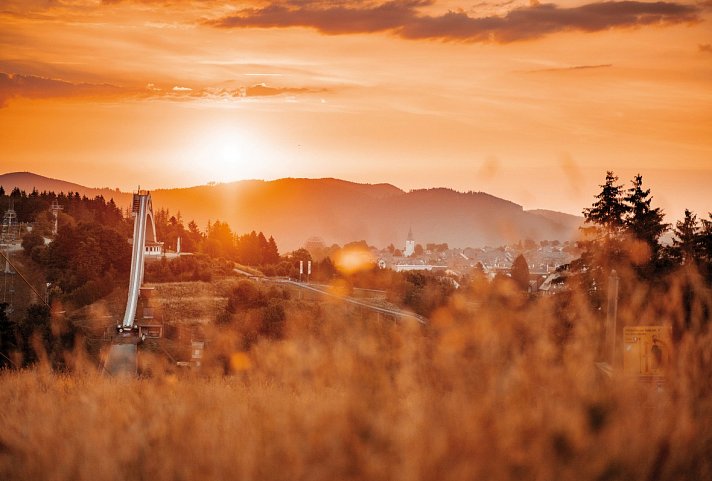 Panorama Hotel Winterberg - Landschaftspanorama