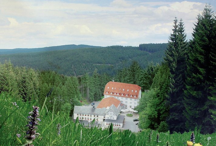 Hotel Rodebachmühle - Hotel
