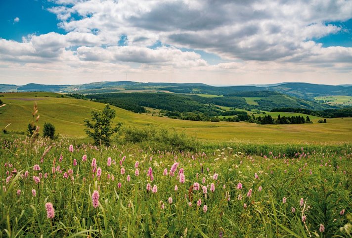 Hotel Gersfelder Hof