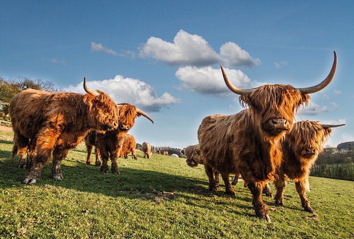 Schottland Rundreise