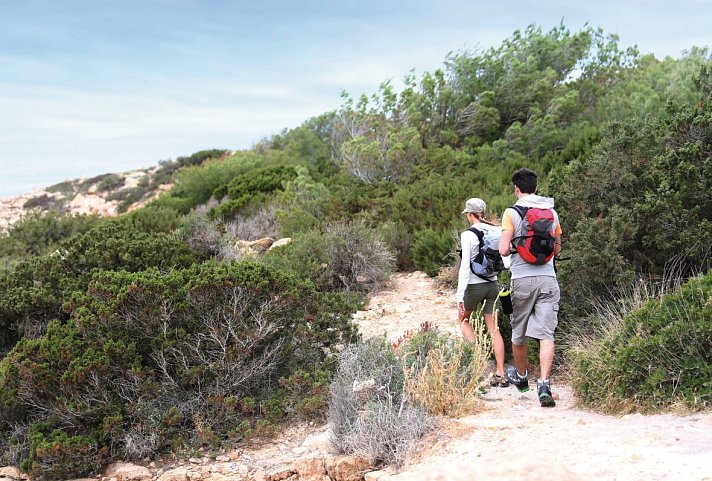 Cala Llenya Resort Ibiza