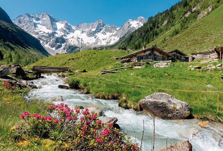 Gasthof zum Löwen - Zillertal