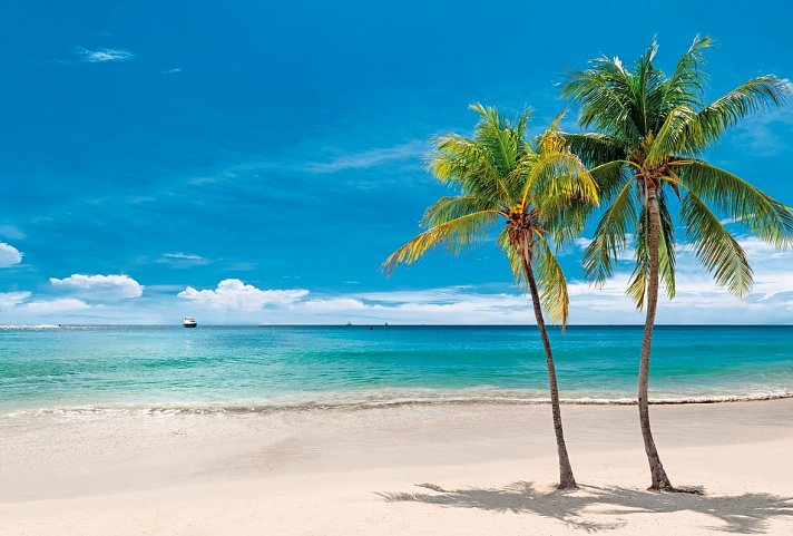 Kreuzfahrt Karibik - Jamaika