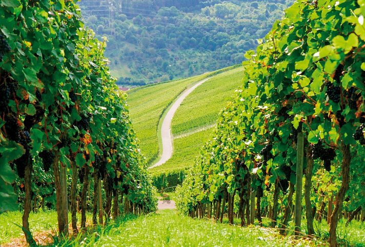 Victor´s Residenz-Hotel Frankenthal