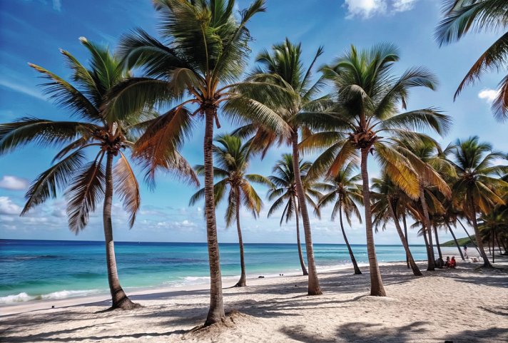 Costa Rica Rundreise & Baden - Strand in Costa Rica