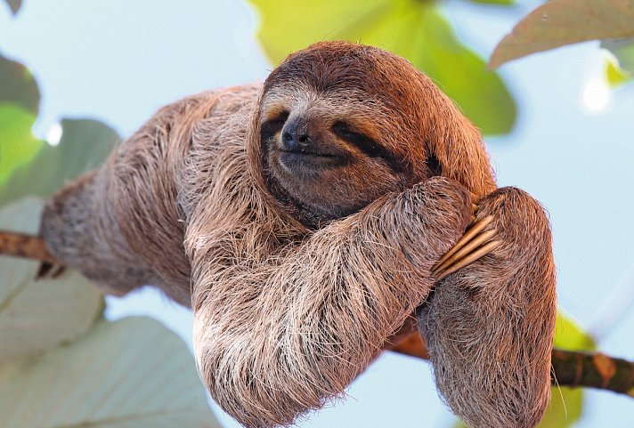 Costa Rica Rundreise & Baden