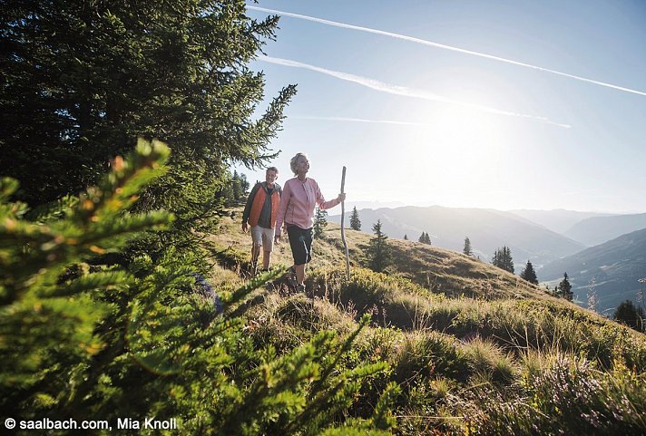 Ferienanlage Hotel Altachhof und Hotel Annemarie