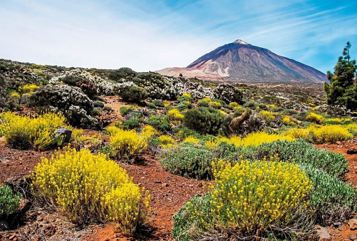 Kreuzfahrt Kanaren + Madeira - Teide